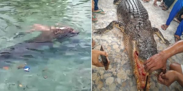 Crocodile kills woman in Indonesia after she dips her feet in water, drags her body under