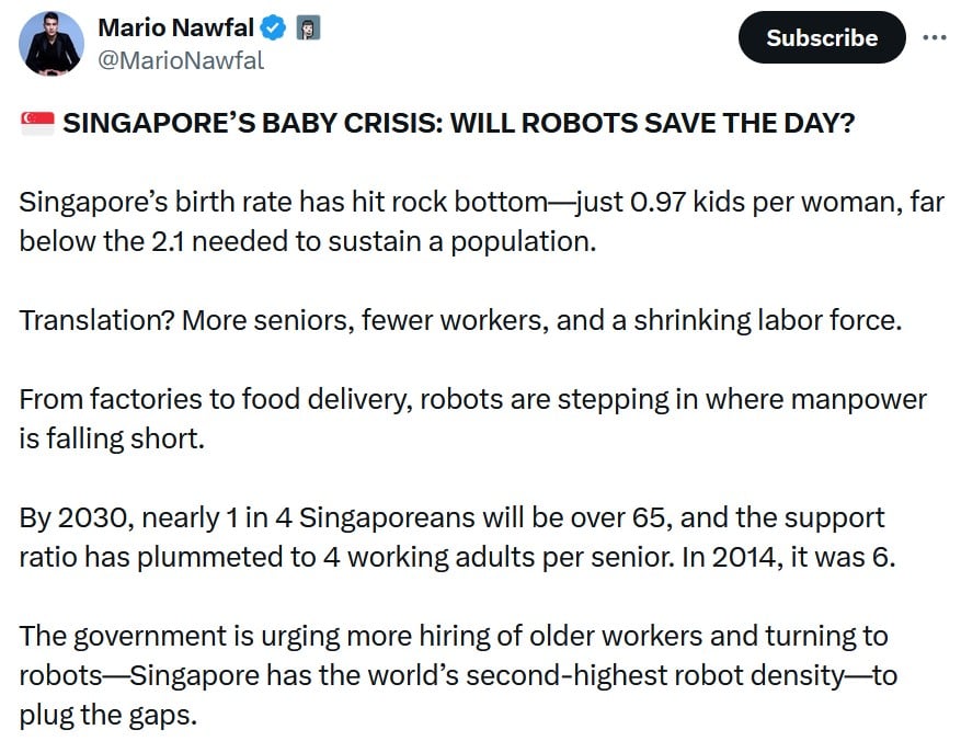 elon musk singapore