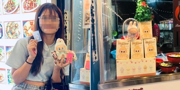 Labubu reseller in M'sia to sue woman for S$151K after she accuses its toys of being fake