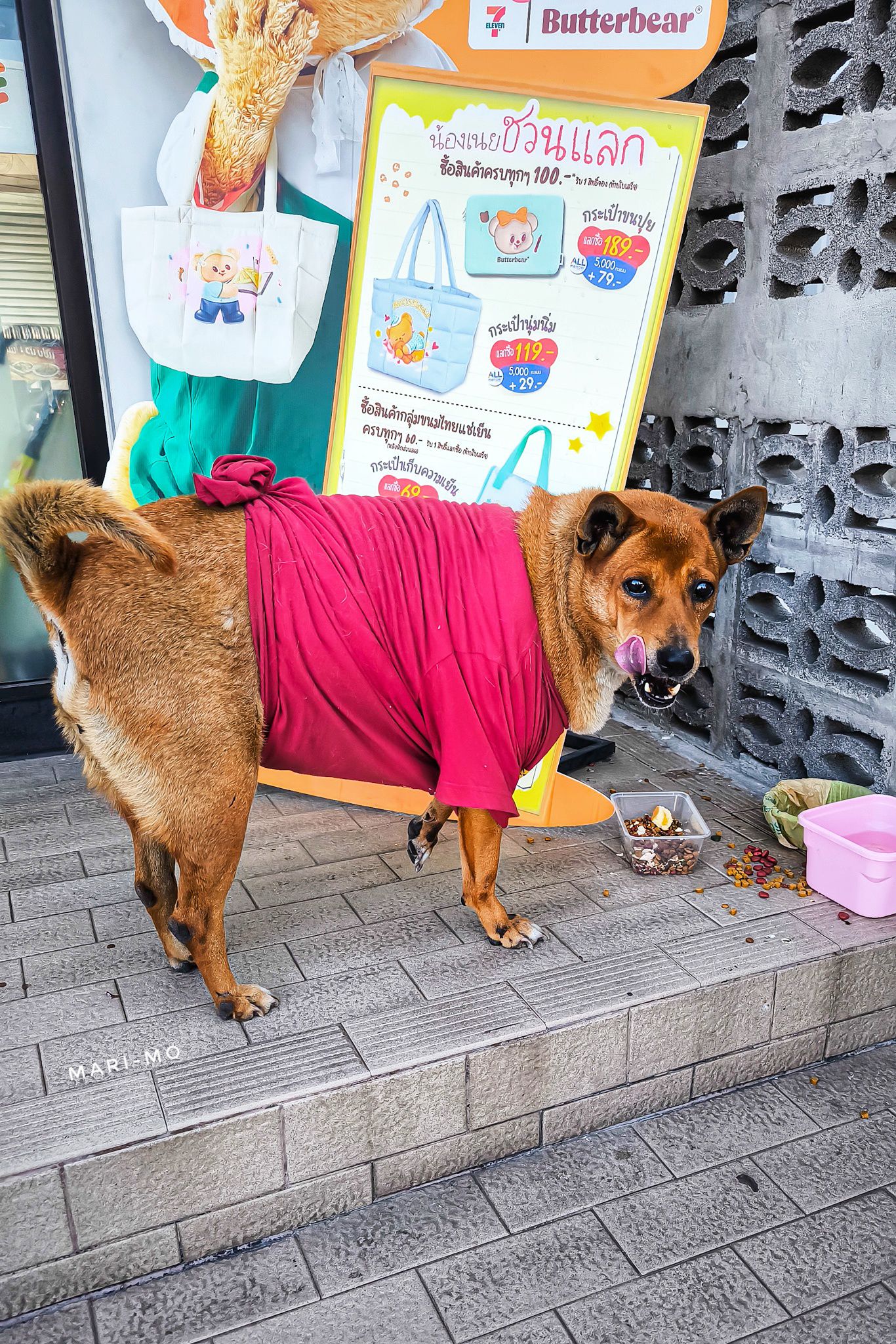 dog 7-eleven thailand food