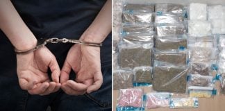 drugs seized