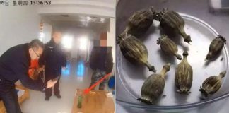 father drug possession