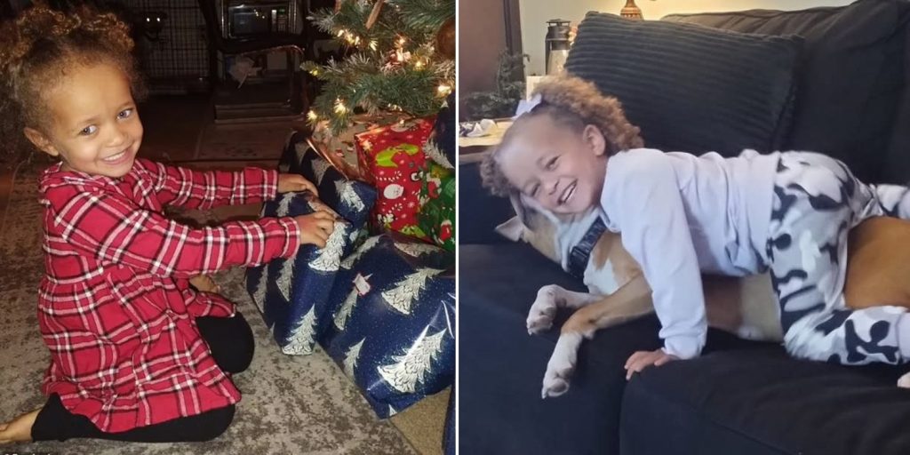 'My baby is dead': 3-year-old girl in US mauled to death by 3 dogs ...