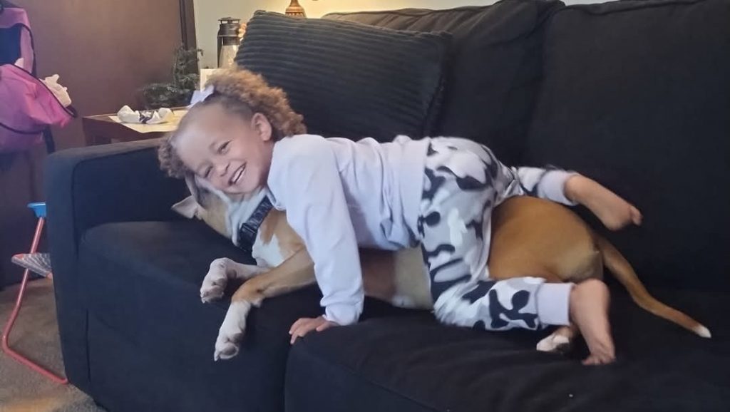 'My baby is dead': 3-year-old girl in US mauled to death by 3 dogs ...