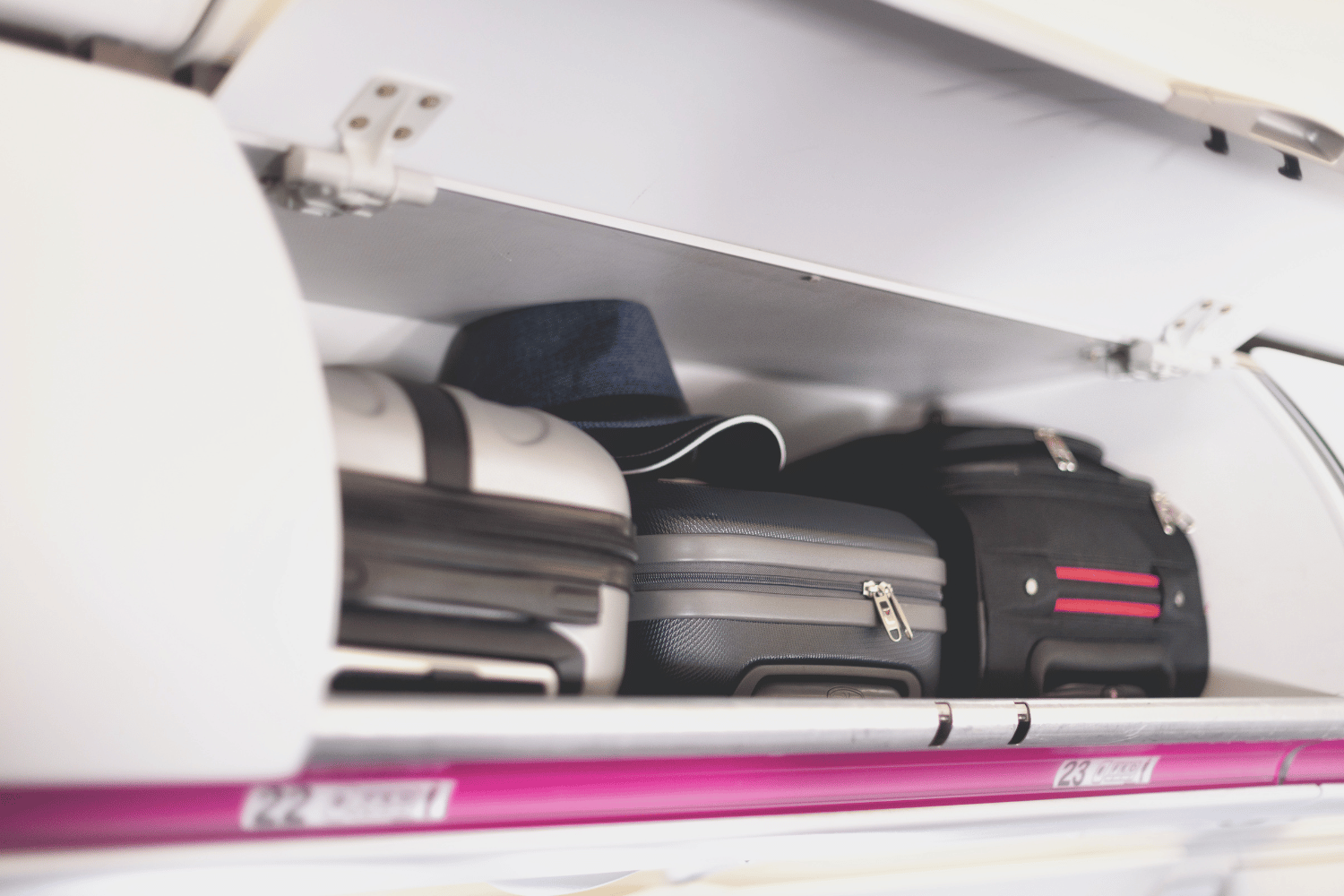 luggage missing overhead compartment