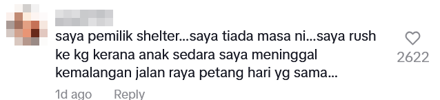 men cat shelter flames