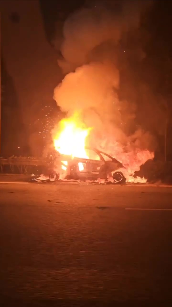 Electric car bursts into flames
