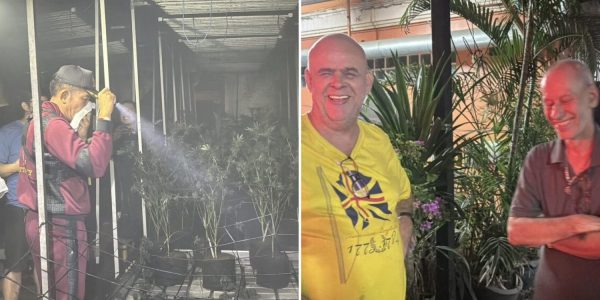 cannabis plantation fire