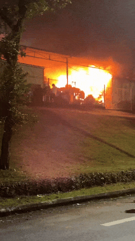 men cat shelter flames