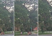 man helps elderly