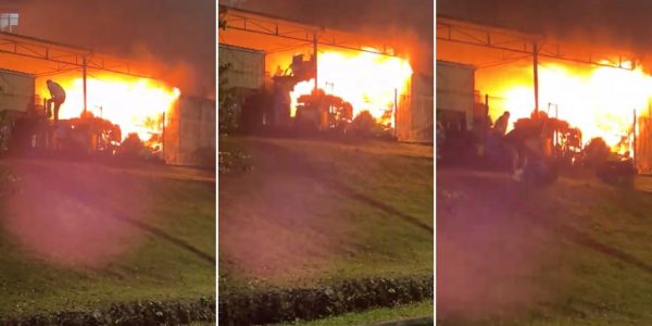 men cat shelter flames