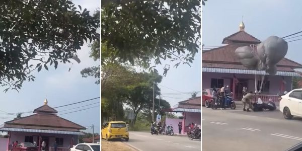 paratrooper motorcyclist