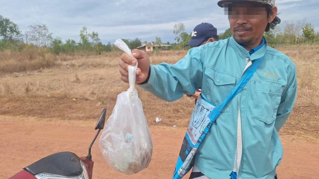pet dogs thailand poisoned food