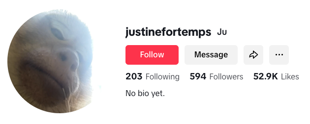 monkey tourist video