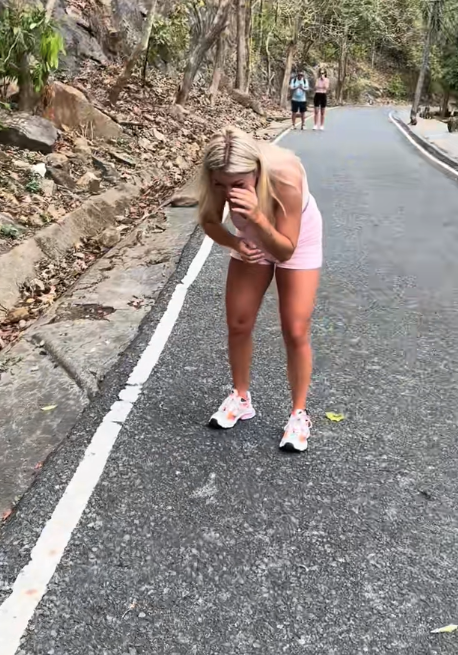 monkey tourist video