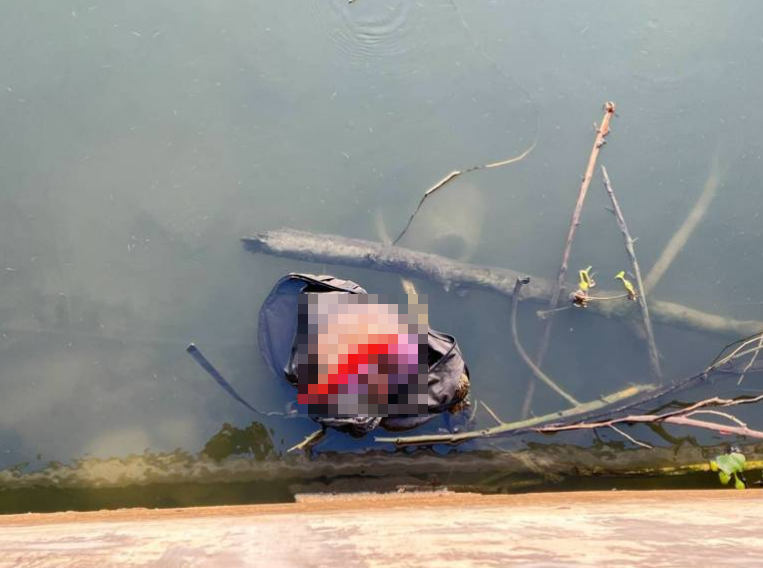 infant body backpack