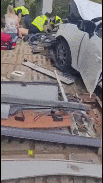 Car crashes into tree