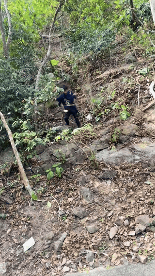 monkey tourist video