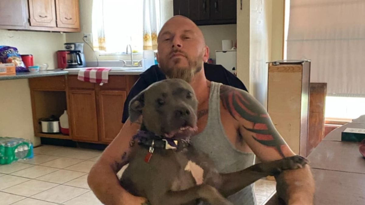 kill rescue dog mauled adopt