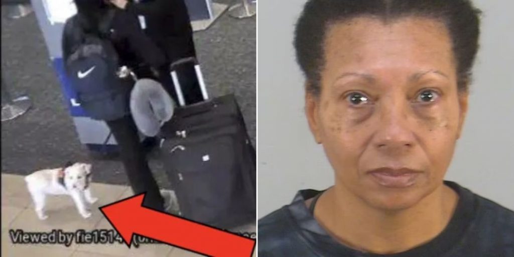 Woman in US allegedly drowns her dog in airport toilet after it wasn't