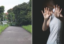 Man molests woman