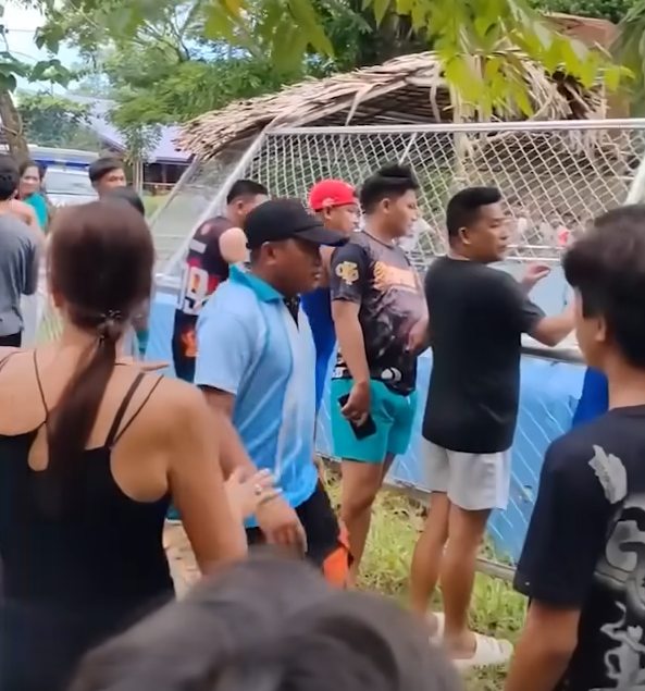 tourist crocodile Philippines