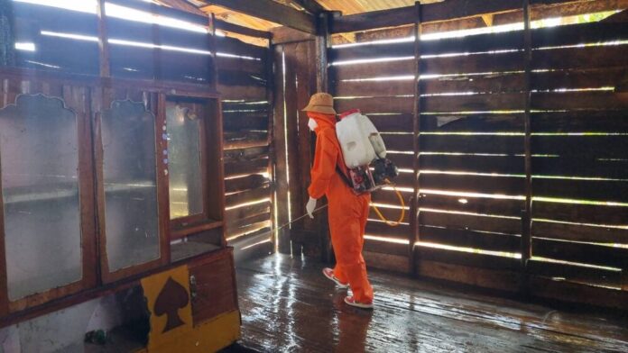 infested millions insects