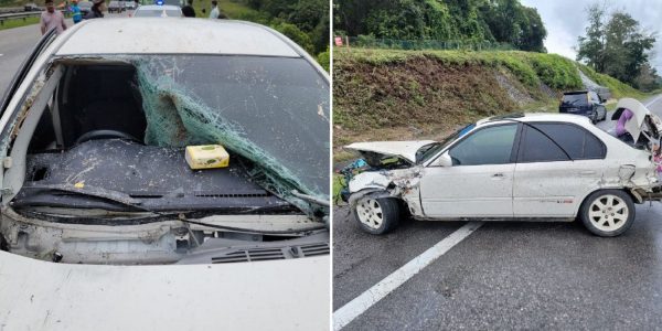 girl killed windshield