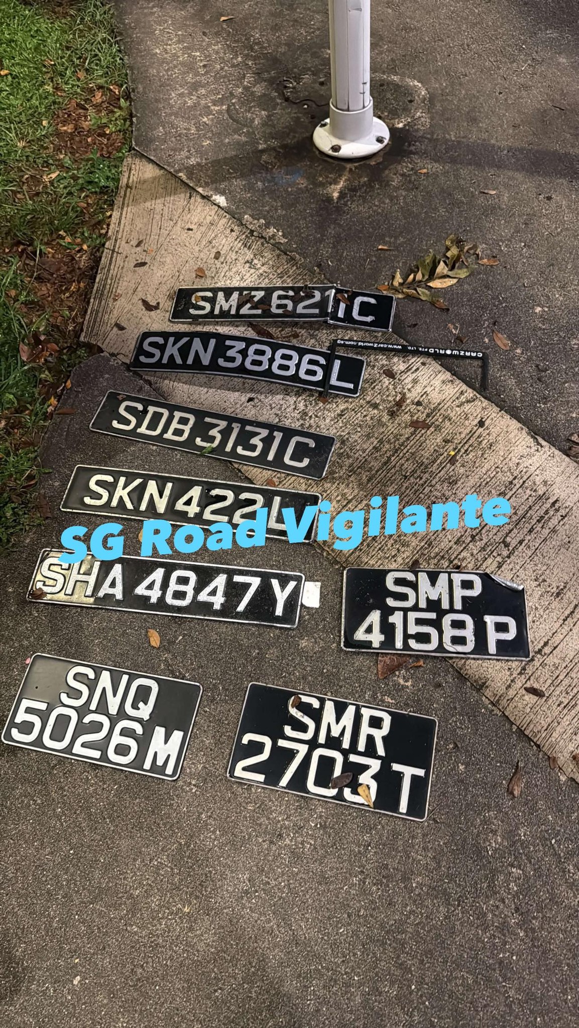 flooding licence plates