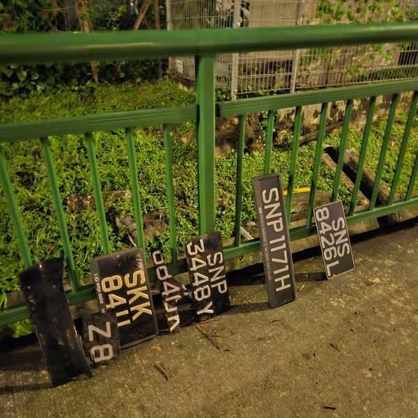 flooding licence plates