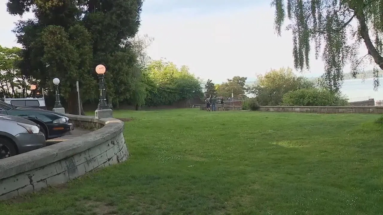 rampant public masturbation park