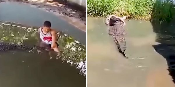 tourist crocodile Philippines