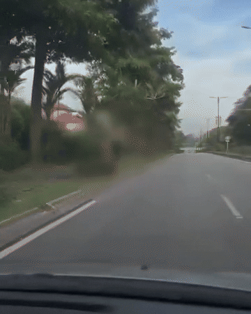 young man jogs naked (2)