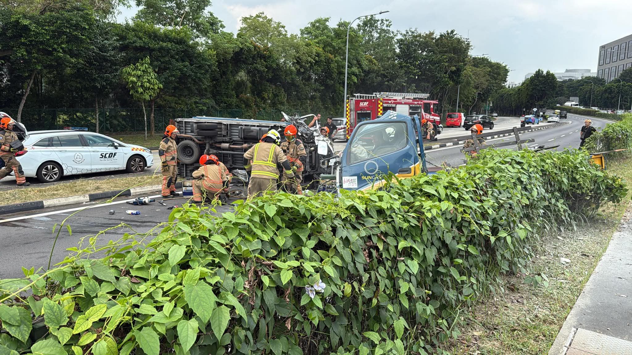 braddell good samaritans