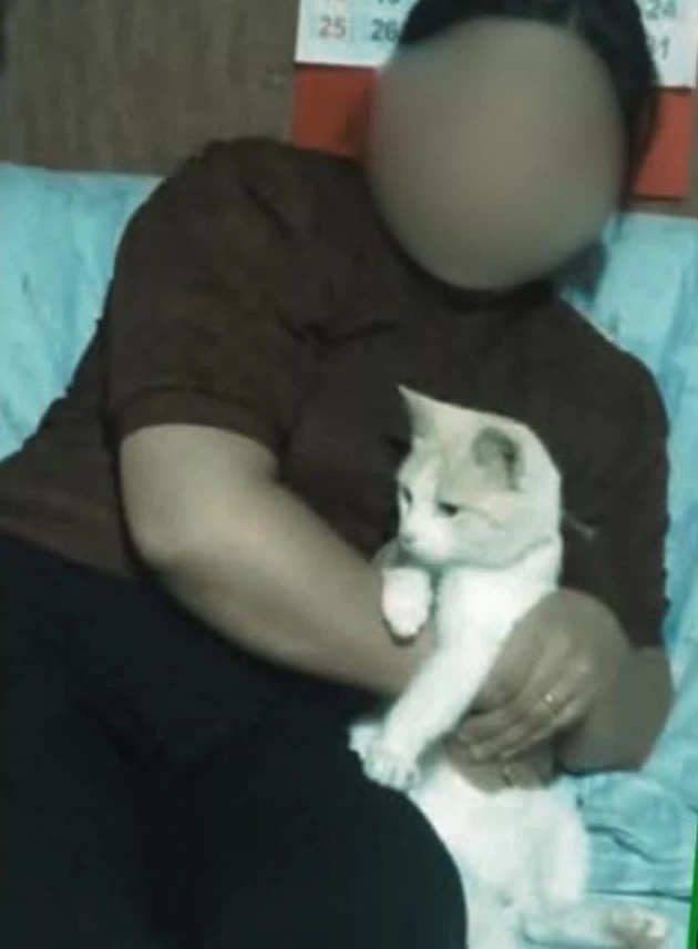 cat mountain philippines hikers