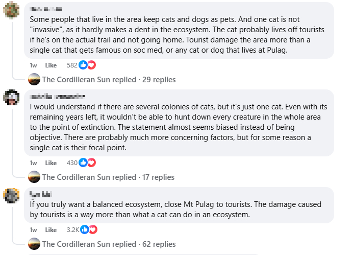 cat mountain philippines comment