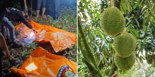 children dead Indonesia