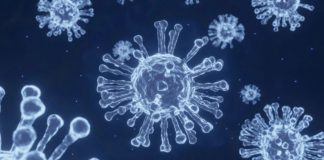 covid-19 new variant