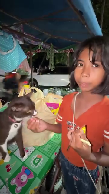 girl thailand collect garbage cats