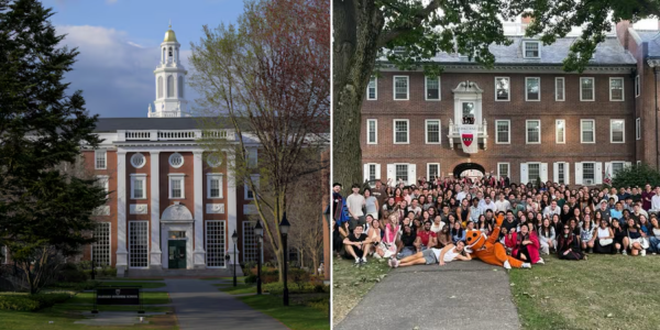 Harvard foreign students