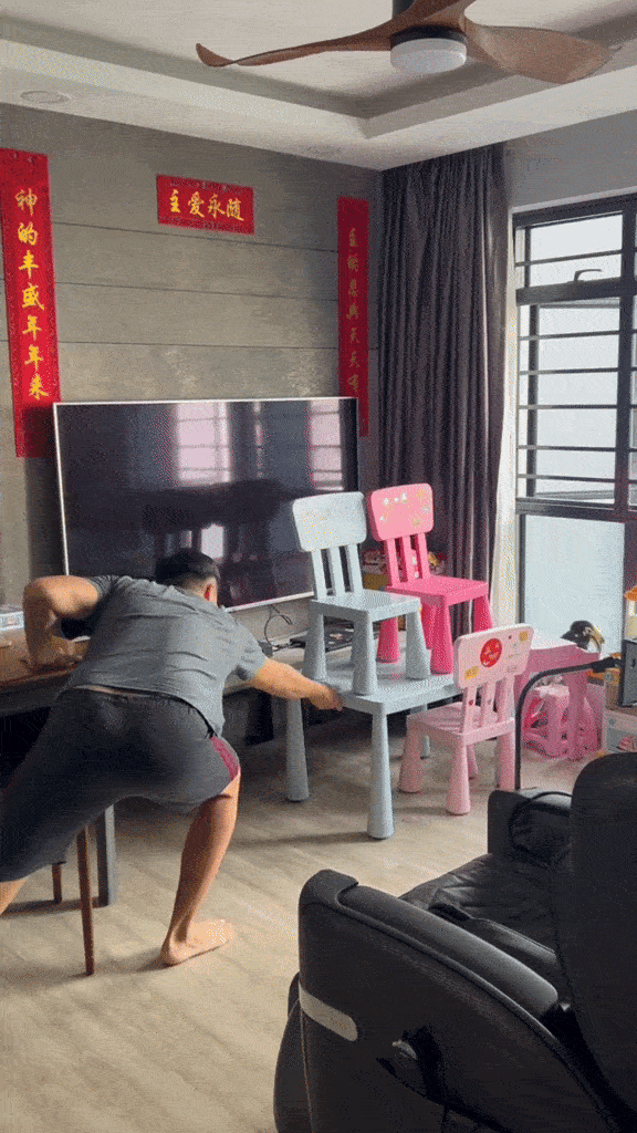 hornbill flies into home