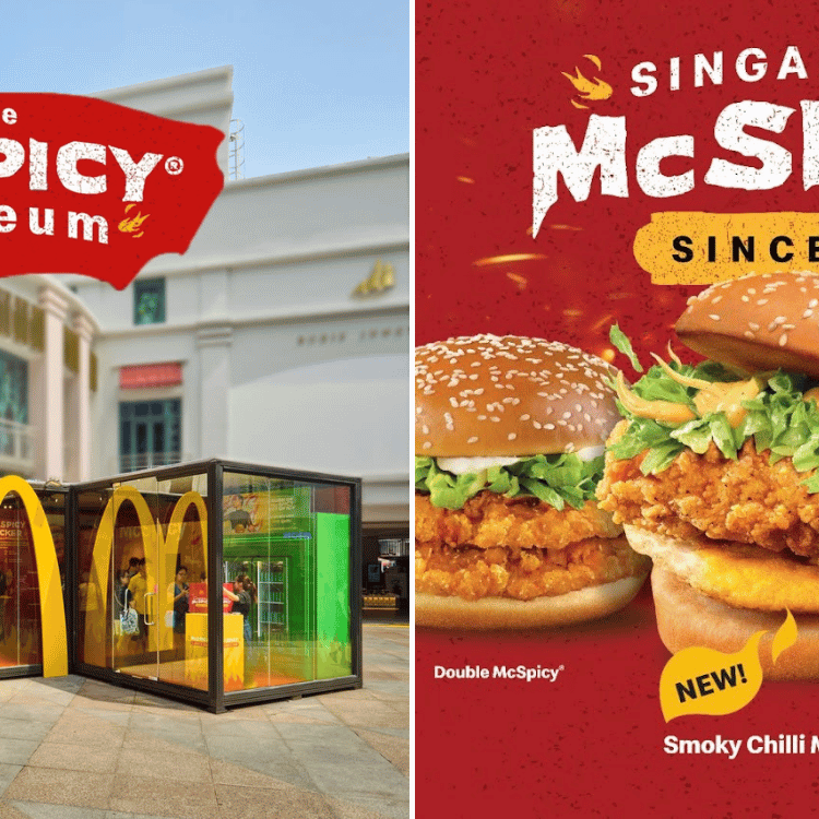 mcspicy-museum-featured-image-