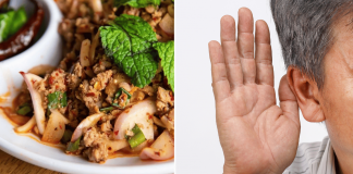 raw pork deafness fever (1)