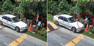BMW driver steals potted plant