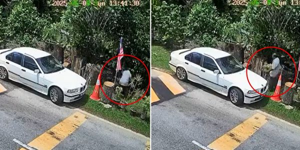 BMW driver steals potted plant