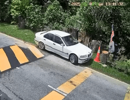 BMW driver steals potted plant