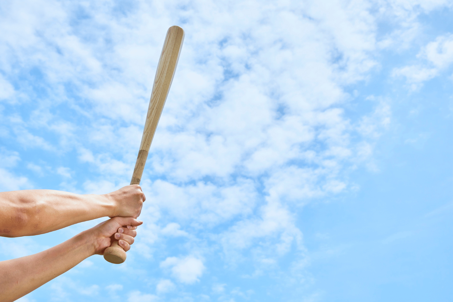 student teacher baseball bat