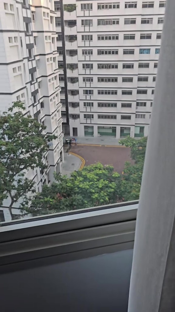 dead chick window ledge