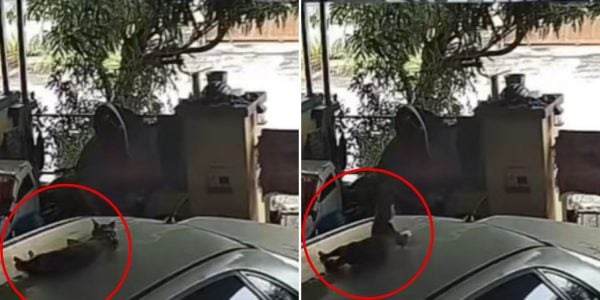 mysterious loud boom tremors