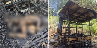 siblings hugging fire